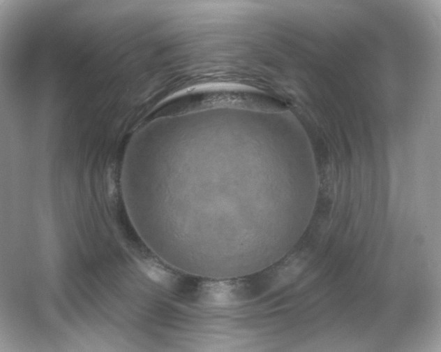 X0000065260131200602171505