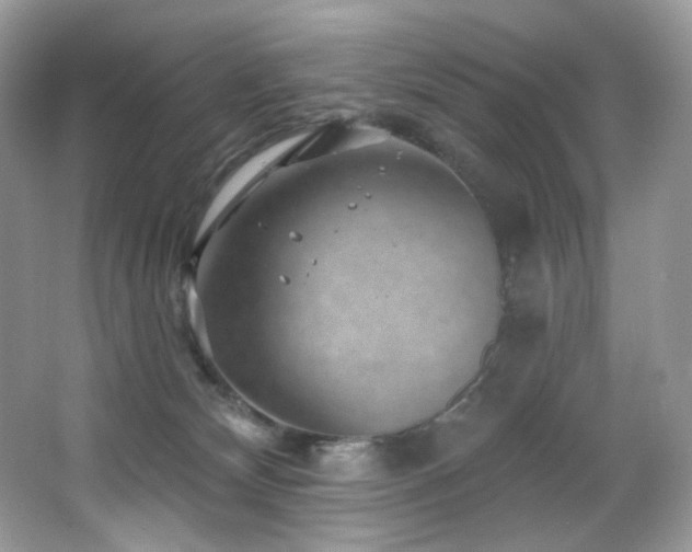 X0000065260132200602171505