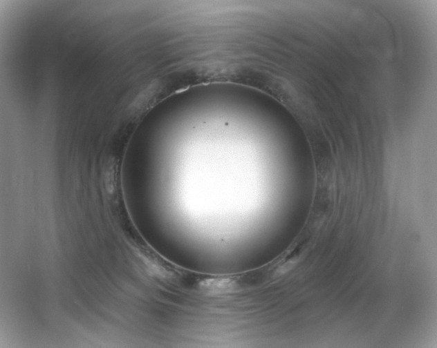 X0000065260133200602171505