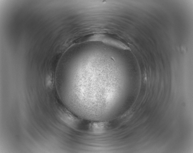 X0000065260134200602171505