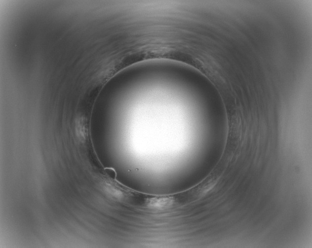 X0000065260135200602171505