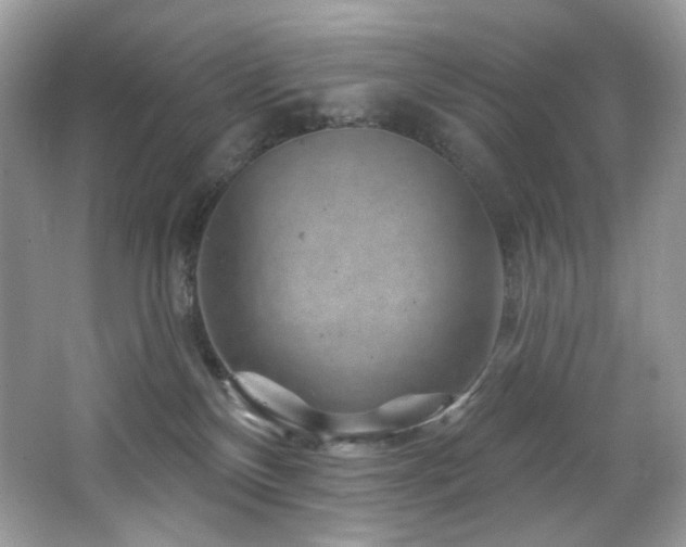 X0000065260136200602171505