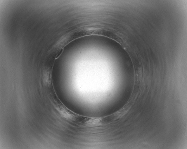 X0000065260138200602171505