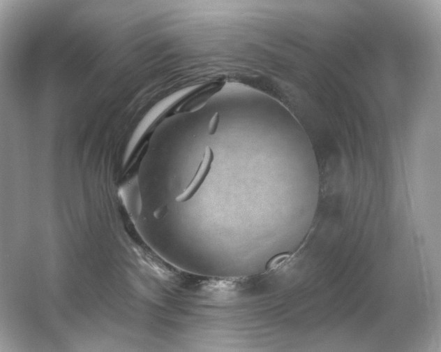 X0000065260140200602171504