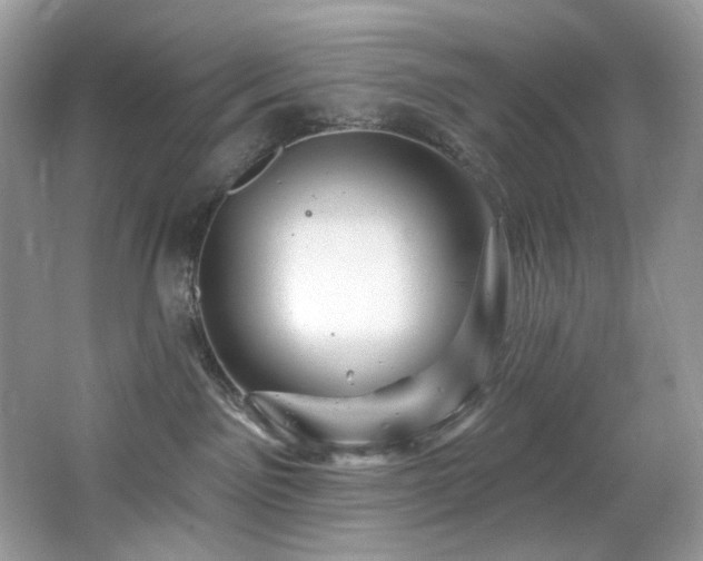 X0000065260141200602171504