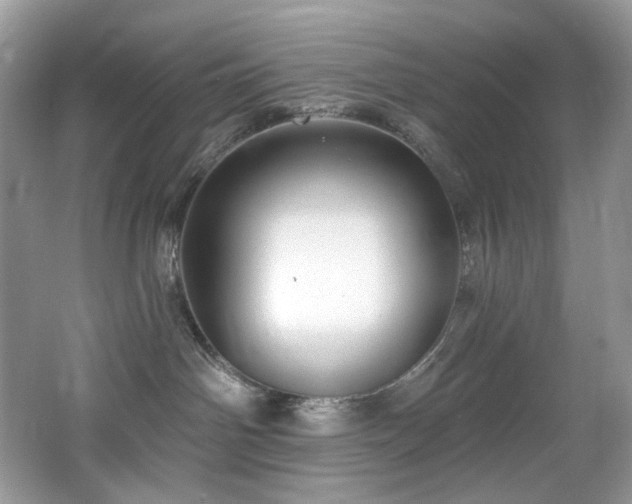 X0000065260142200602171504