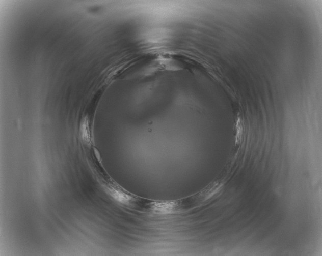 X0000065260143200602171504