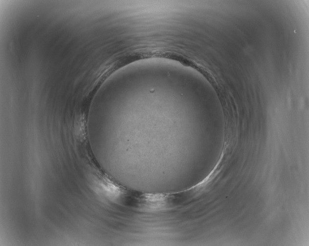 X0000065260144200602171504