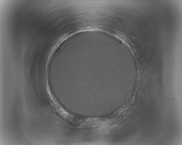 X0000065260145200602171504