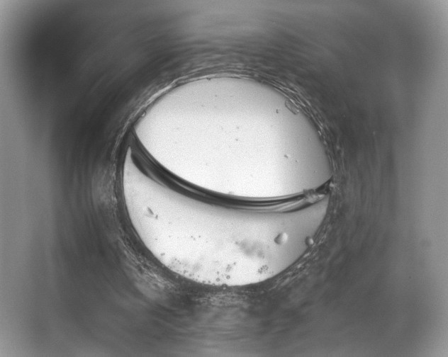 X0000065260146200602171504