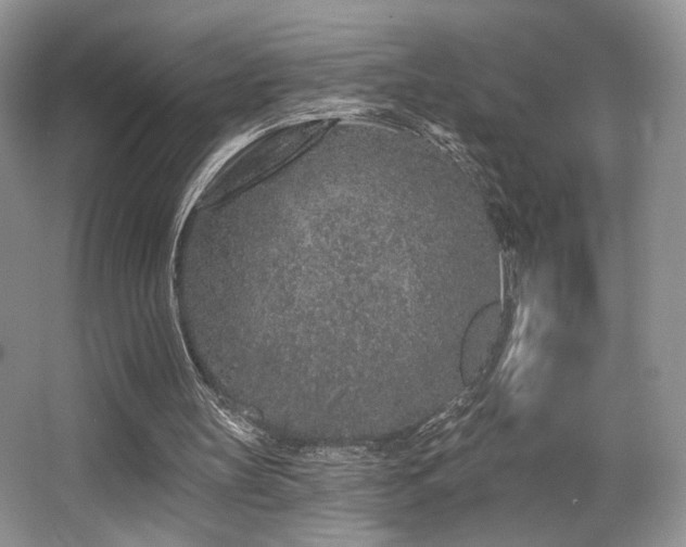 X0000065260147200602171504