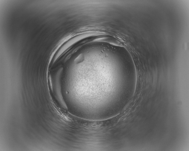 X0000065260148200602171504