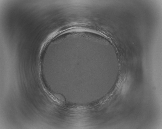 X0000065260149200602171504