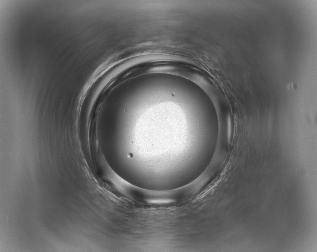 X0000065260150200602171504