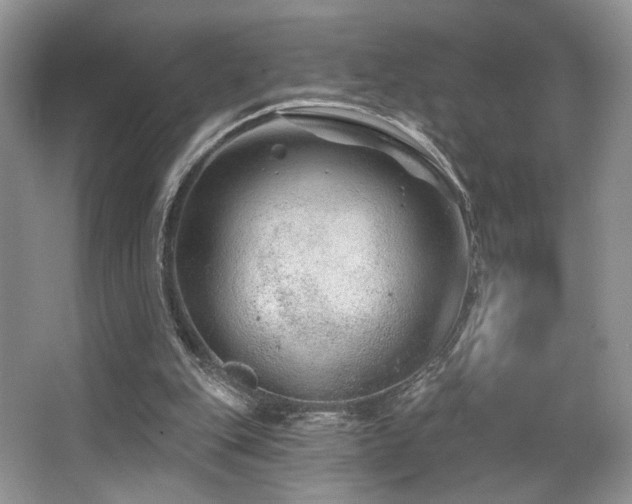 X0000065260151200602171504