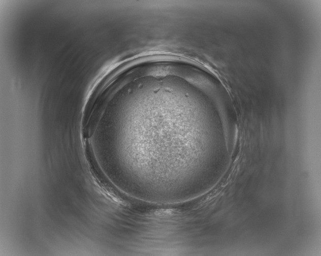 X0000065260152200602171504