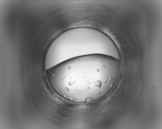 X0000065260153200602171504