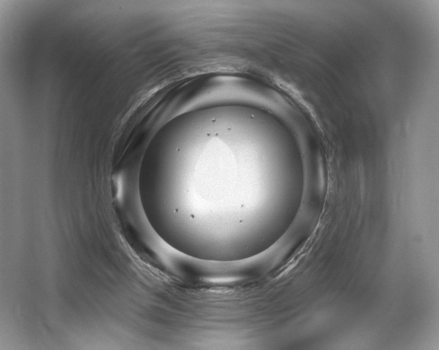 X0000065260154200602171504