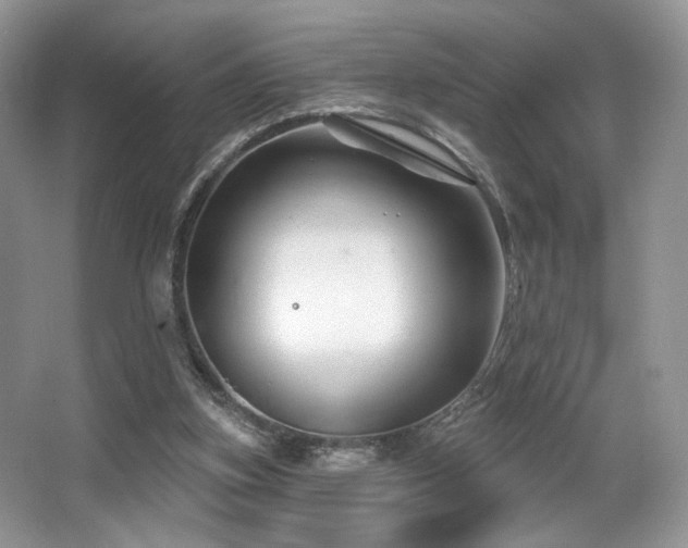 X0000065260155200602171504