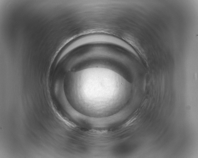 X0000065260156200602171504