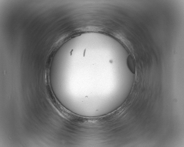 X0000065260157200602171504