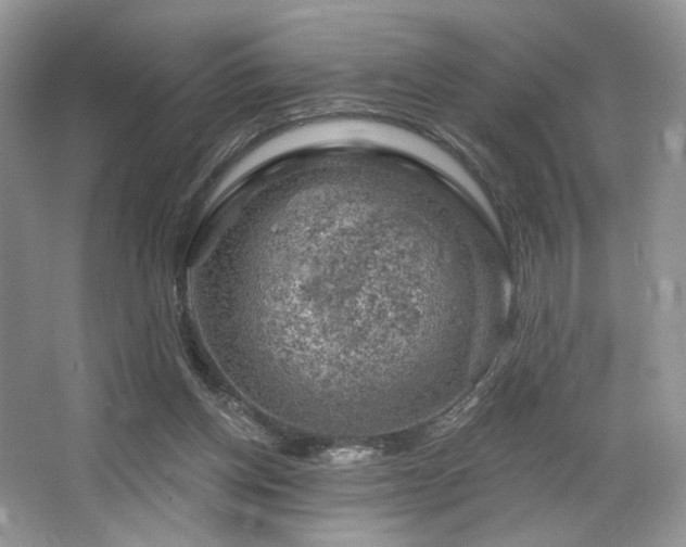 X0000065260158200602171504