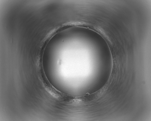 X0000065260159200602171504