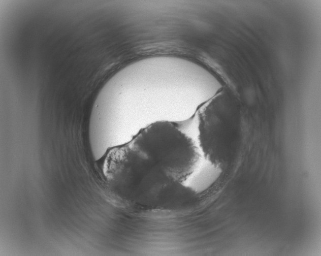 X0000065260161200602171504