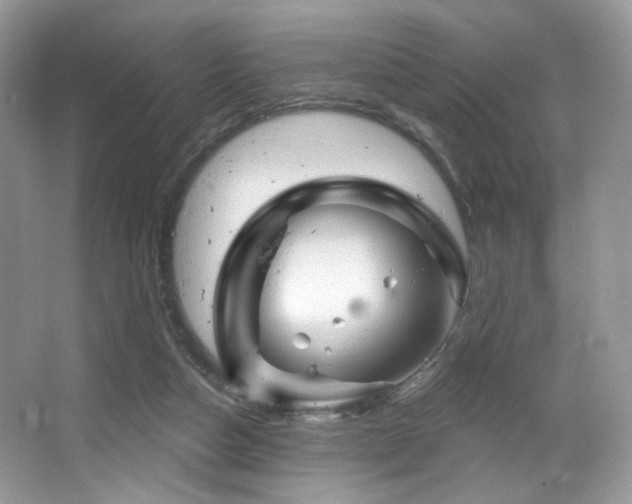 X0000065260162200602171504