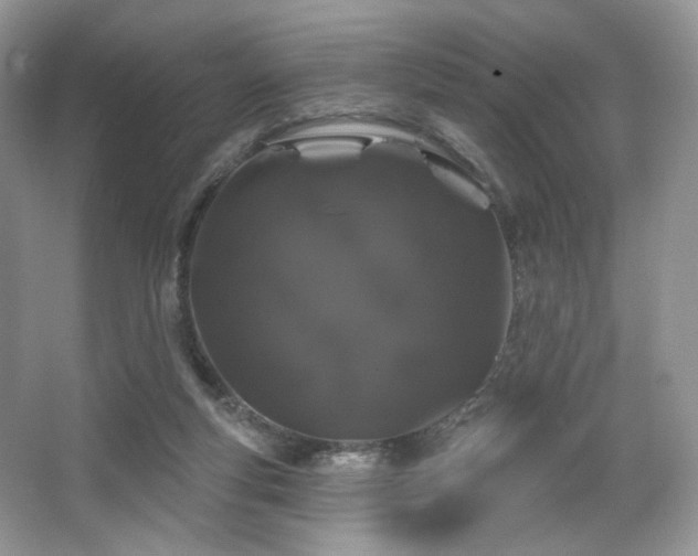 X0000065260163200602171504