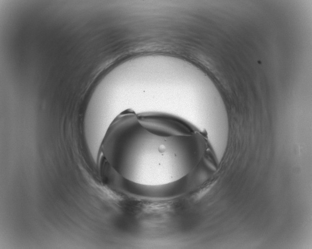 X0000065260164200602171504