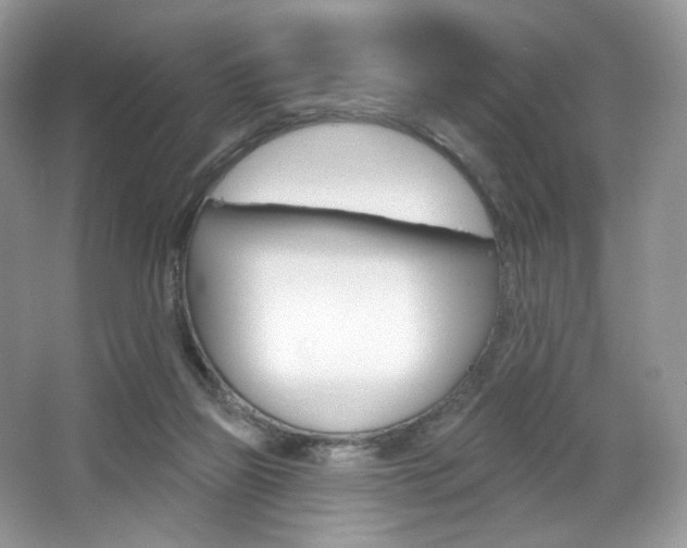 X0000065260165200602171504