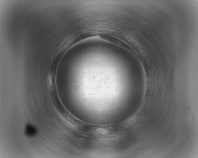 X0000065260166200602171504