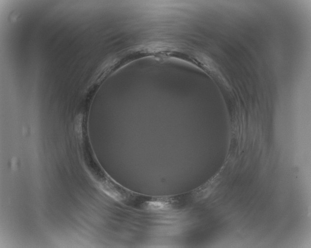 X0000065260167200602171504