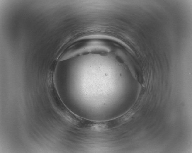 X0000065260168200602171504