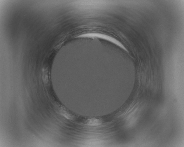 X0000065260169200602171504