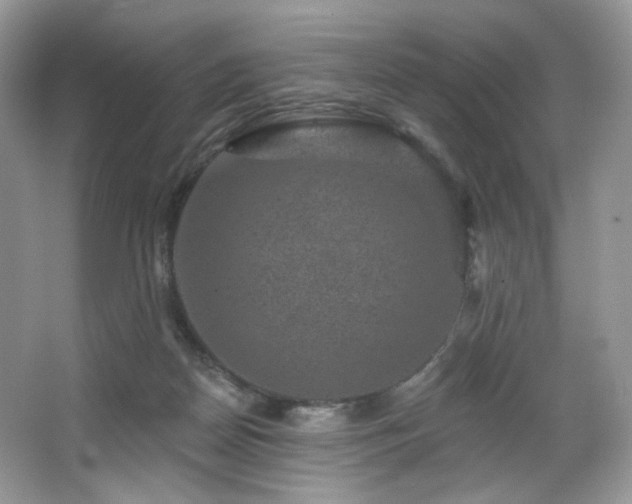 X0000065260170200602171504