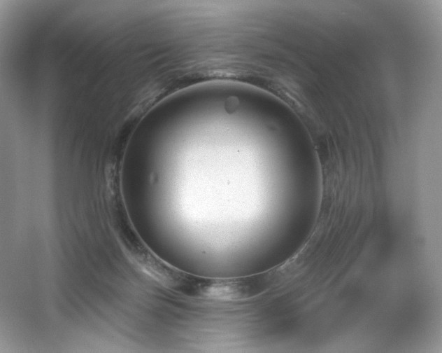 X0000065260171200602171504