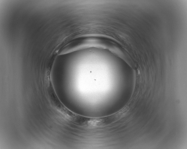 X0000065260172200602171504