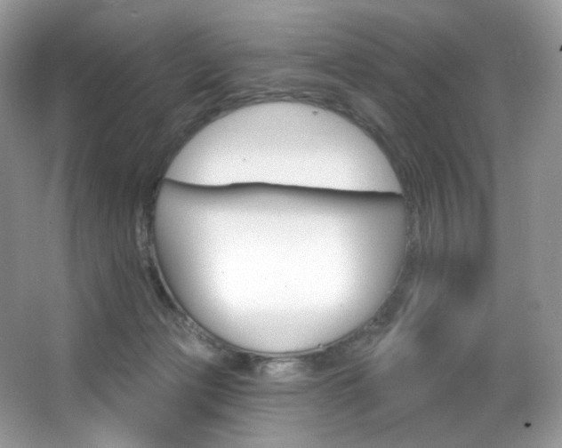 X0000065260173200602171504