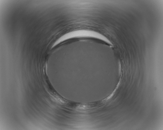 X0000065260174200602171504