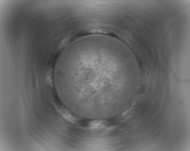 X0000065260175200602171504