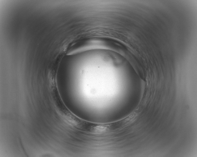 X0000065260176200602171504