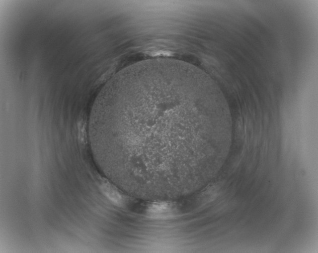 X0000065260177200602171504