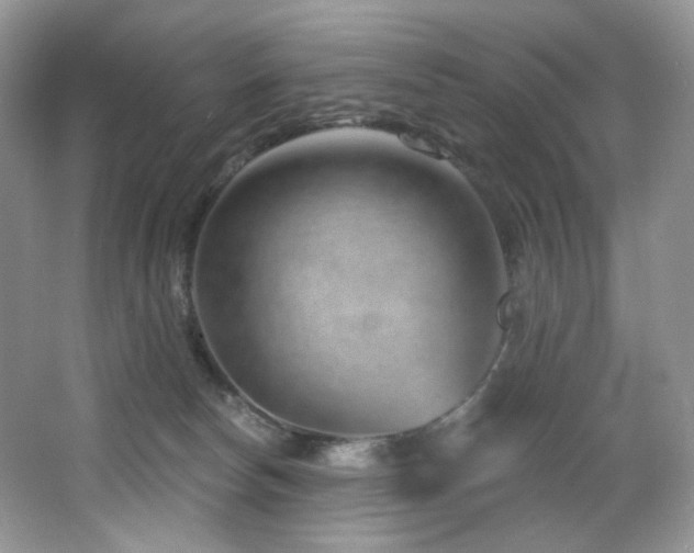 X0000065260178200602171504