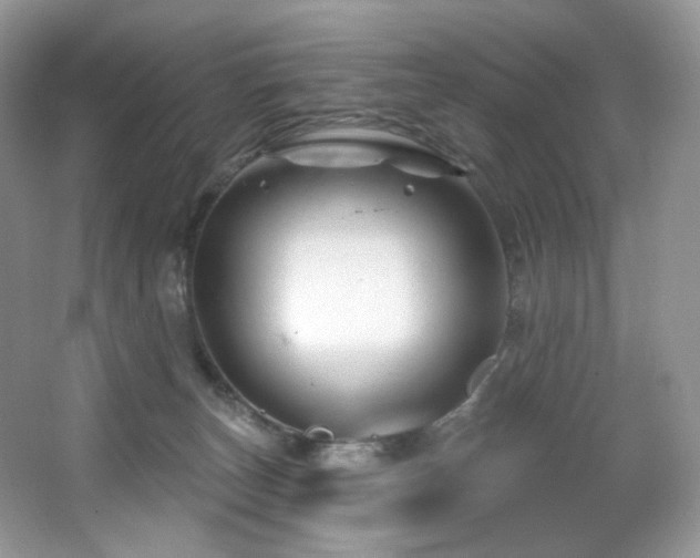 X0000065260179200602171504