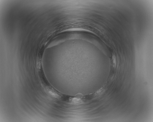 X0000065260180200602171504