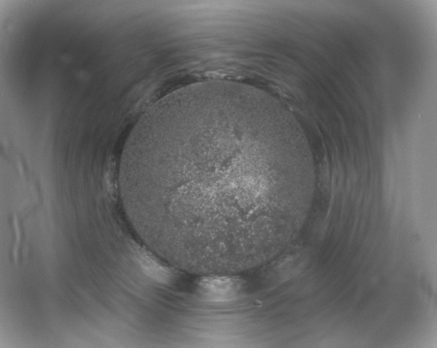 X0000065260181200602171504