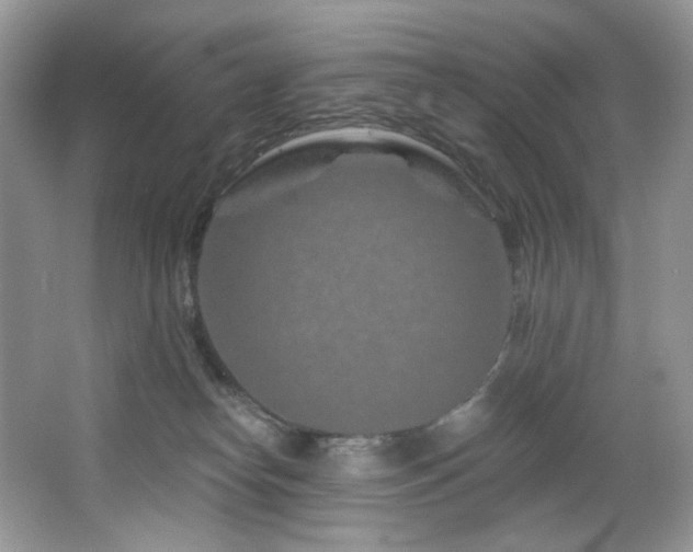 X0000065260182200602171504