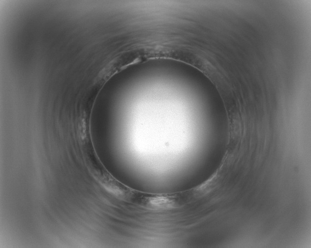 X0000065260183200602171504